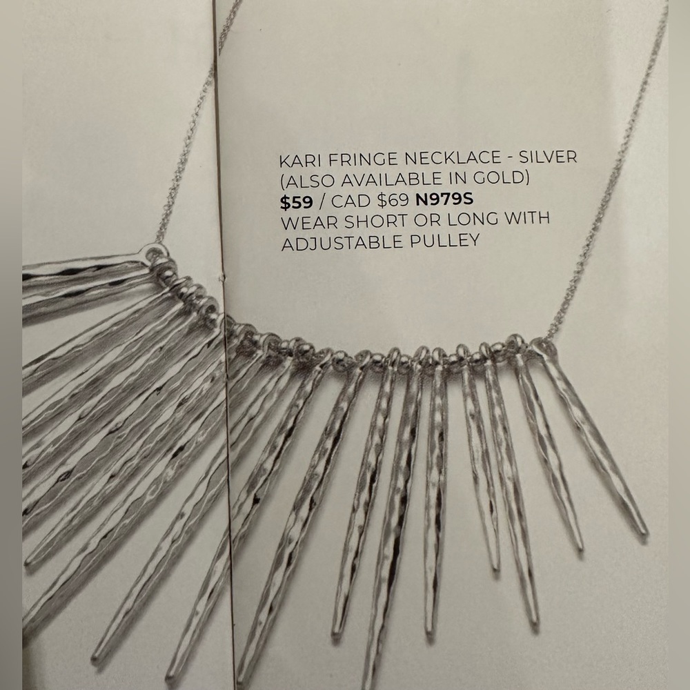Kari Fringe Necklace in Silver by Stella & Dot.